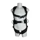 SpanSet HL-4P-06  Preview picture 1